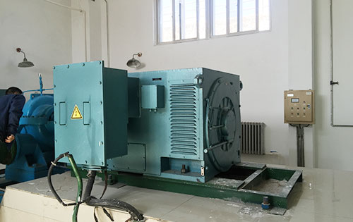 临洮某水电站工程主水泵使用我公司高压电机