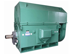 临洮Y系列6KV高压电机
